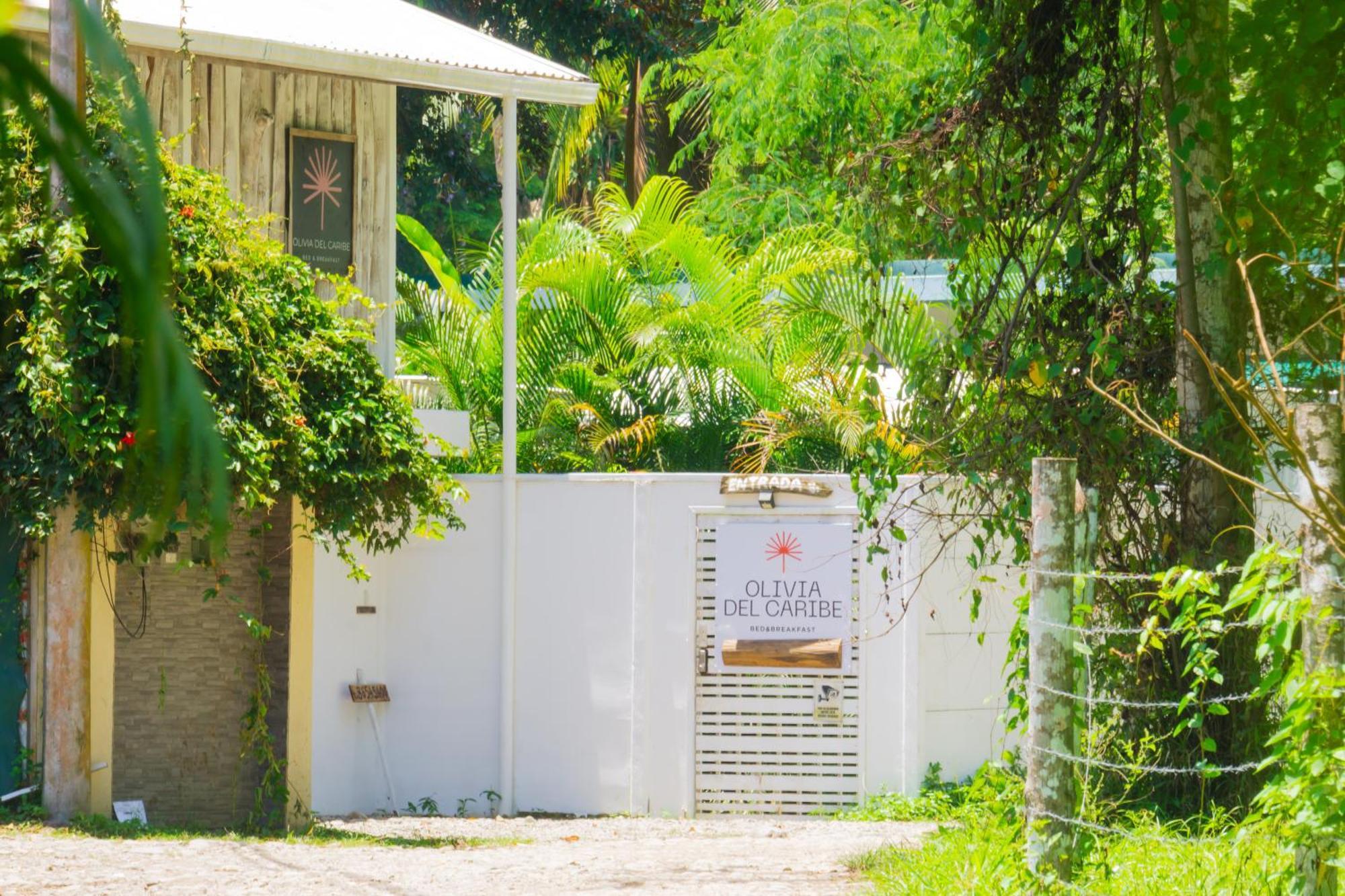 Olivia Del Caribe Suite Puerto Viejo de Talamanca Exterior photo